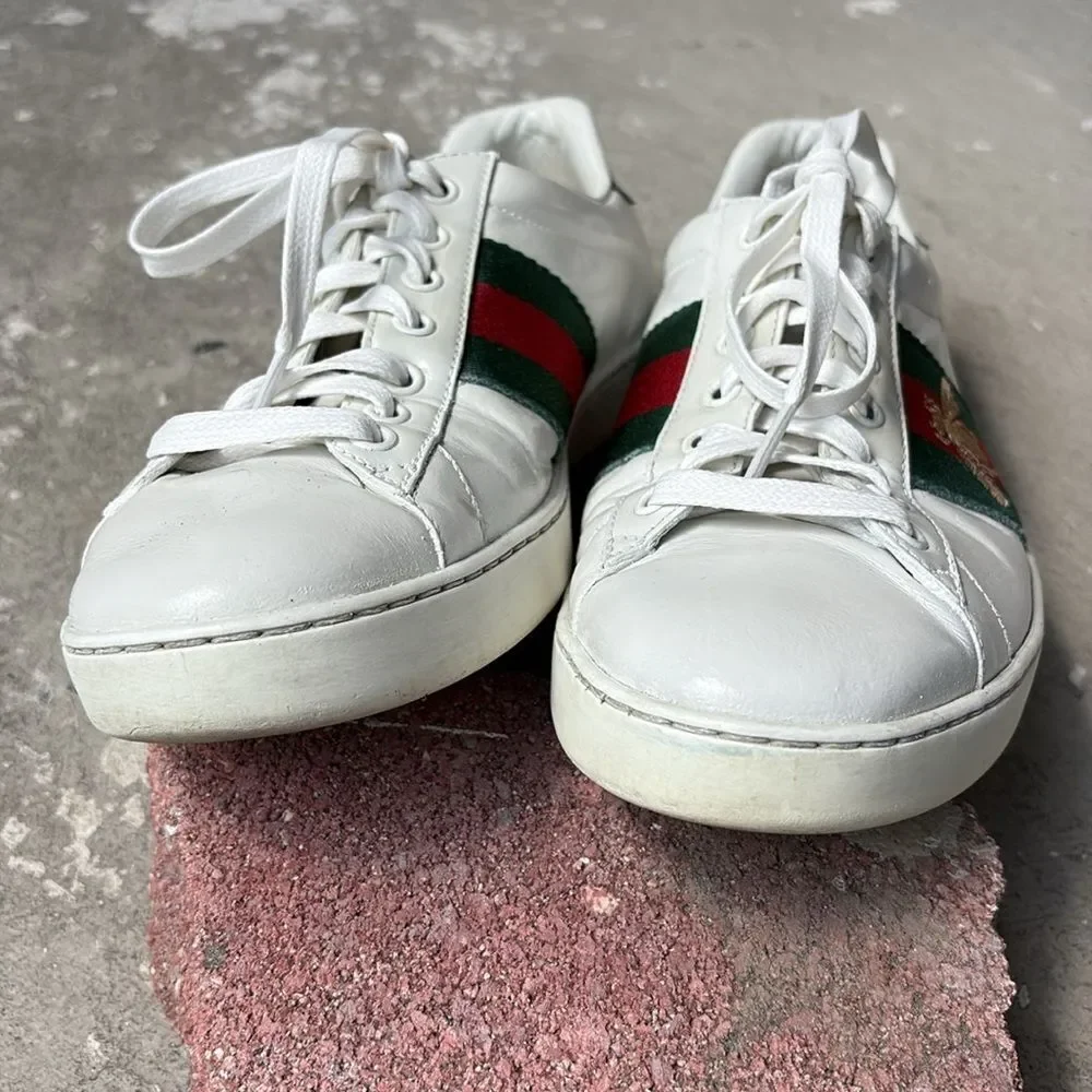 Gucci acel bee sneaker